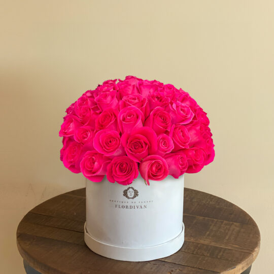 Caja de Rosas Fucsia