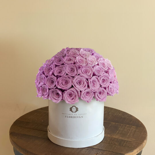 rosas lila