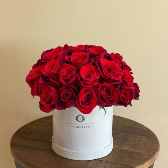 Caja de Rosas Rojas