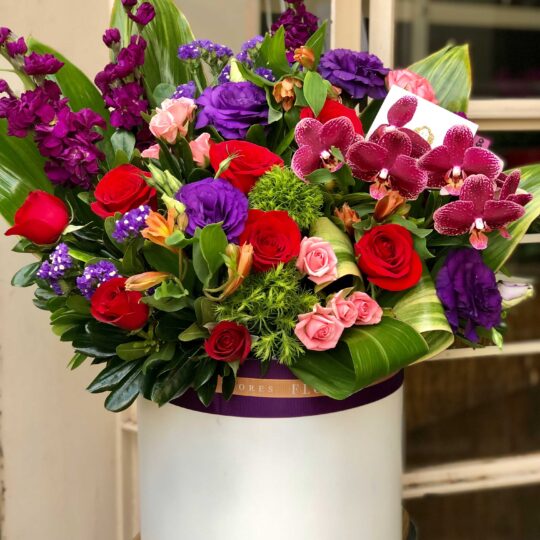 Violeta y rojo